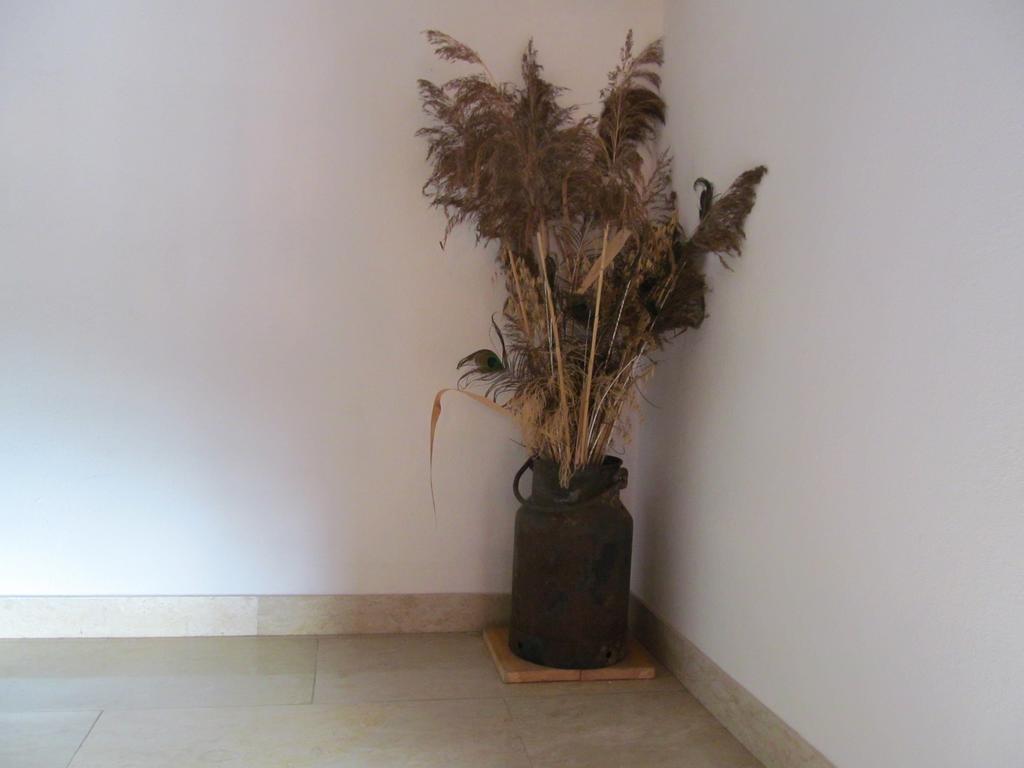 Appartement Weingut Schoberhof Bad Gleichenberg Room photo