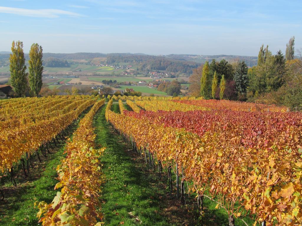 Appartement Weingut Schoberhof Bad Gleichenberg Room photo